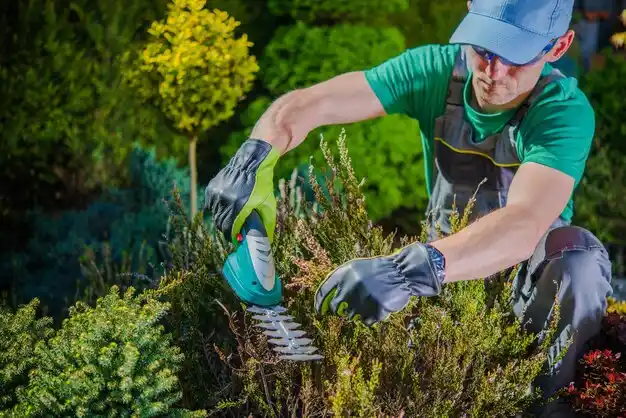 landscaping services Holden